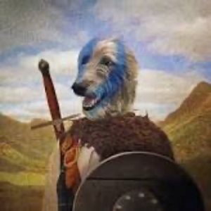 Meet your Posher, Judith